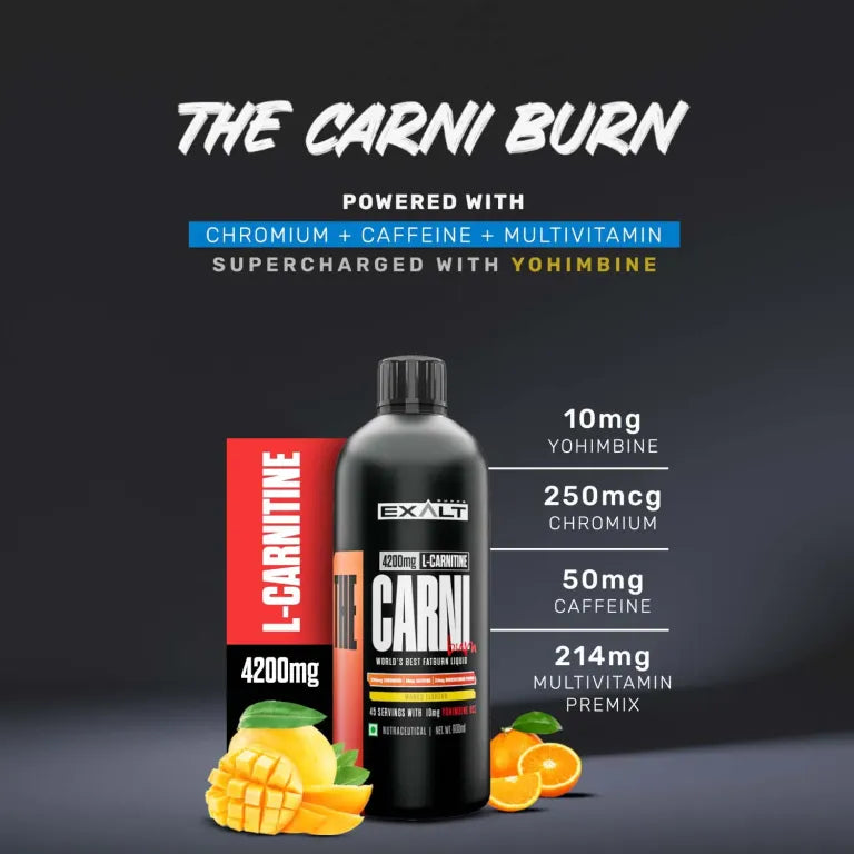 The Carni Burn L Carnitine